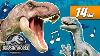 Jurassic World S Monstrous Musical Dinosaur Compilation Mattel Action
