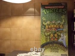 NECA Teenage Mutant Ninja Turtles Exclusive Musical Mutagen Tour-NEW & SEALED